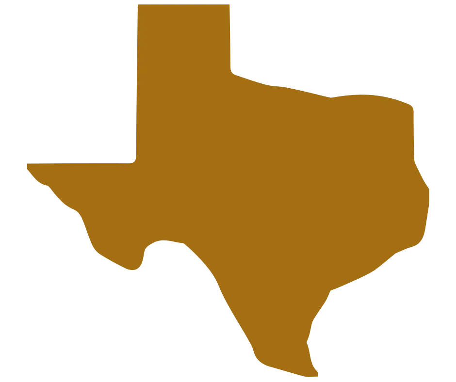 texas security view systems
