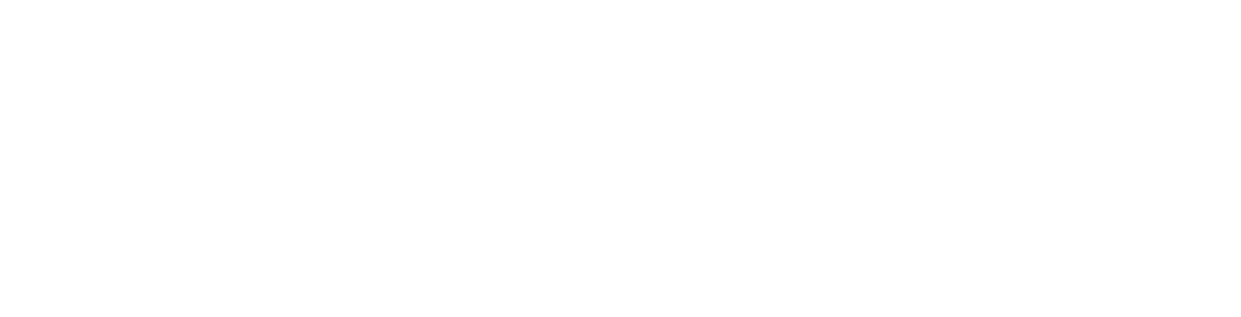 Security View Next Level Surveillance